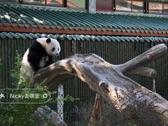 -广州动物园