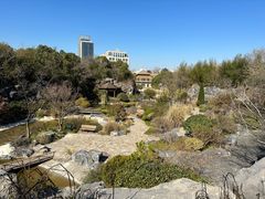 -上海吴淞炮台湾国家湿地公园