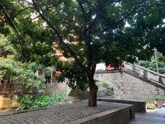 -小洲村