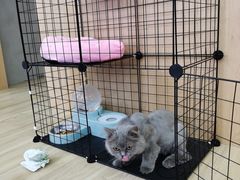 -Vamos巴猫司健身中心(五角场店)
