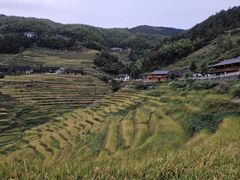 -紫鹊界梯田景区