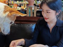 -百好乐宠物友好餐厅(朝外大街店)