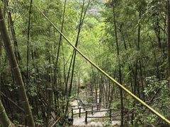 -千泷沟大瀑布旅游区