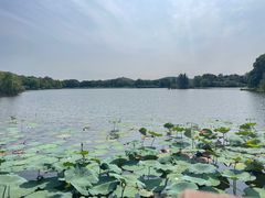 -上海市保健医疗中心