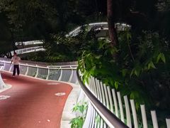 -金鸡山公园