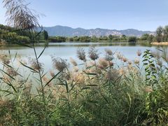 -翠湖国家城市湿地公园