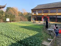 -重元寺香积厨素斋馆