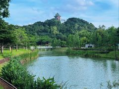 -王借岗森林公园