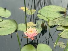 -昆山城市生态森林公园