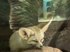 -绿色星球动物主题公园