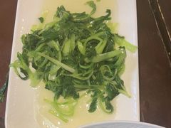 -南山竹海·珍味堂