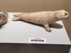 -旅顺博物馆