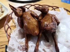 -石岐乳鸽村(桥观坊南四巷店)