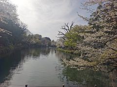 -井之头恩赐公园