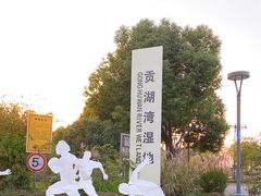 -贡湖湾湿地公园