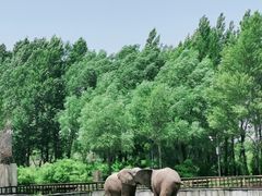 -鄂尔多斯野生动物园