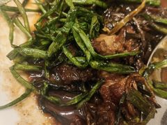 -新吉士·上海菜(浦东LCM置汇旭辉店)