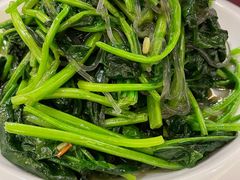 -鸢飞潍坊菜馆(鸢飞大酒店)