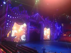 -珠海横琴长隆《卡卡虎奇遇记》