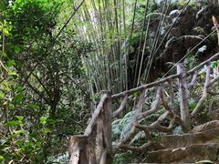 -滴水岩森林公园