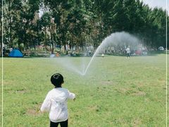 -长白岛森林公园