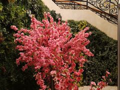 -郑州银基黄帝宫御温泉