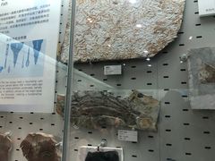 -浙江自然博物院(杭州馆)