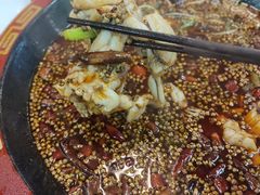 -烧哥美蛙肥肠鱼火锅·十五年社区店