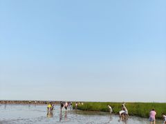 -南汇嘴观海公园