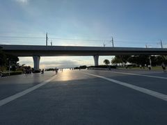 -宝安西湾红树林湿地公园