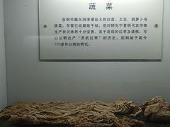 -水洞沟旅游区