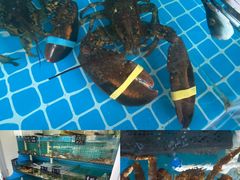 -北戴河庆山饭店·海鲜砂锅粥(北戴河黑石路店)