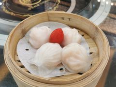 虾饺皇-新榕记滨江壹號