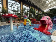 -郑州银基黄帝宫御温泉