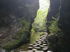 -牛背梁国家森林公园
