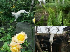 -驿舍·民國老营房院子私房菜(科学会堂店)