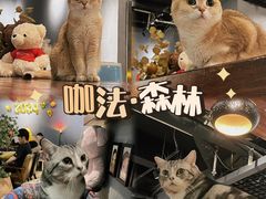 -咖法森林·咖啡  酒吧(天河店)