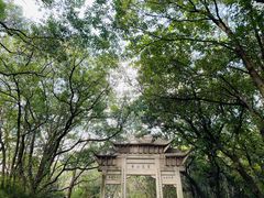 -灵岩山风景区