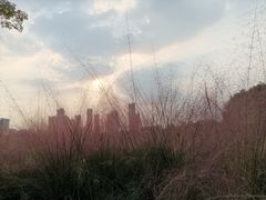 -映月湖公园