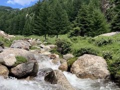 -芦芽山旅游度假区