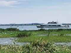 -七的湖·晚芳亭·阳澄湖农家菜·大闸蟹(莲花岛店)