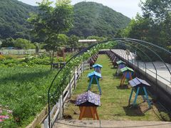 -宁波九龙湖开元度假村