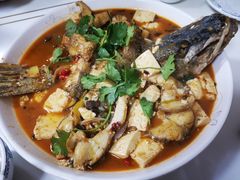 红烧狗鱼-煲来饱去冷水鱼