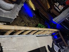 -花溪雨·森林餐厅(石基店)