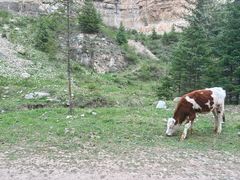 -芦芽山旅游度假区