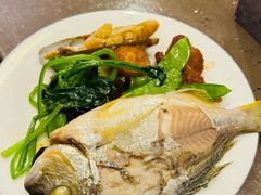 -新偶像健康汇•水疗SPA•豪华自助餐(世界城店)