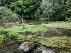 -叠溪松坪沟景区