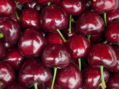 -堤口果品批发市场