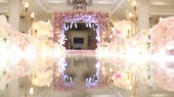 -保定金沙芝柏婚礼策划