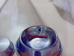-三花喵·撸猫购宠·宠物生活馆(虹桥南丰城店)